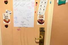 STTC-2023-DOORS-267