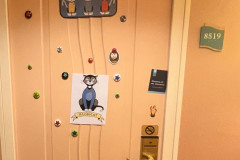 STTC-2023-DOORS-356