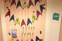 STTC-2023-DOORS-422