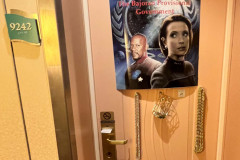 STTC-2023-DOORS-437