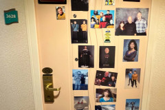 STTC-2023-DOORS-7